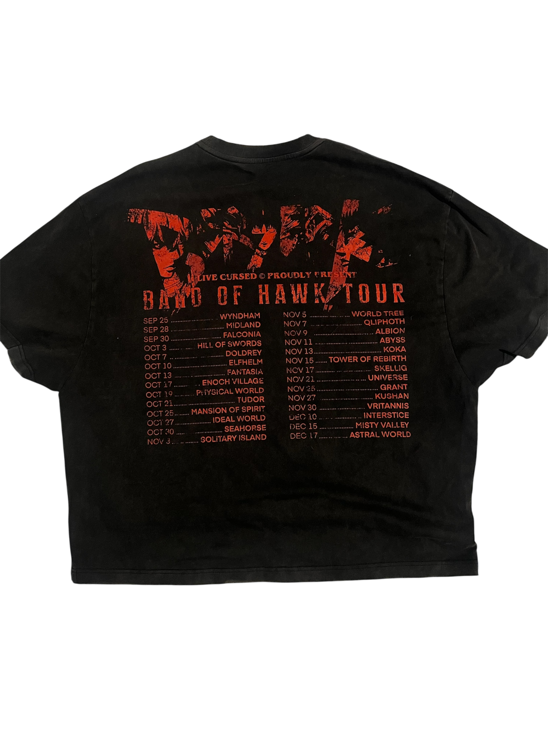 BAND OF THE HAWK TOUR TEE (IN STOCK)